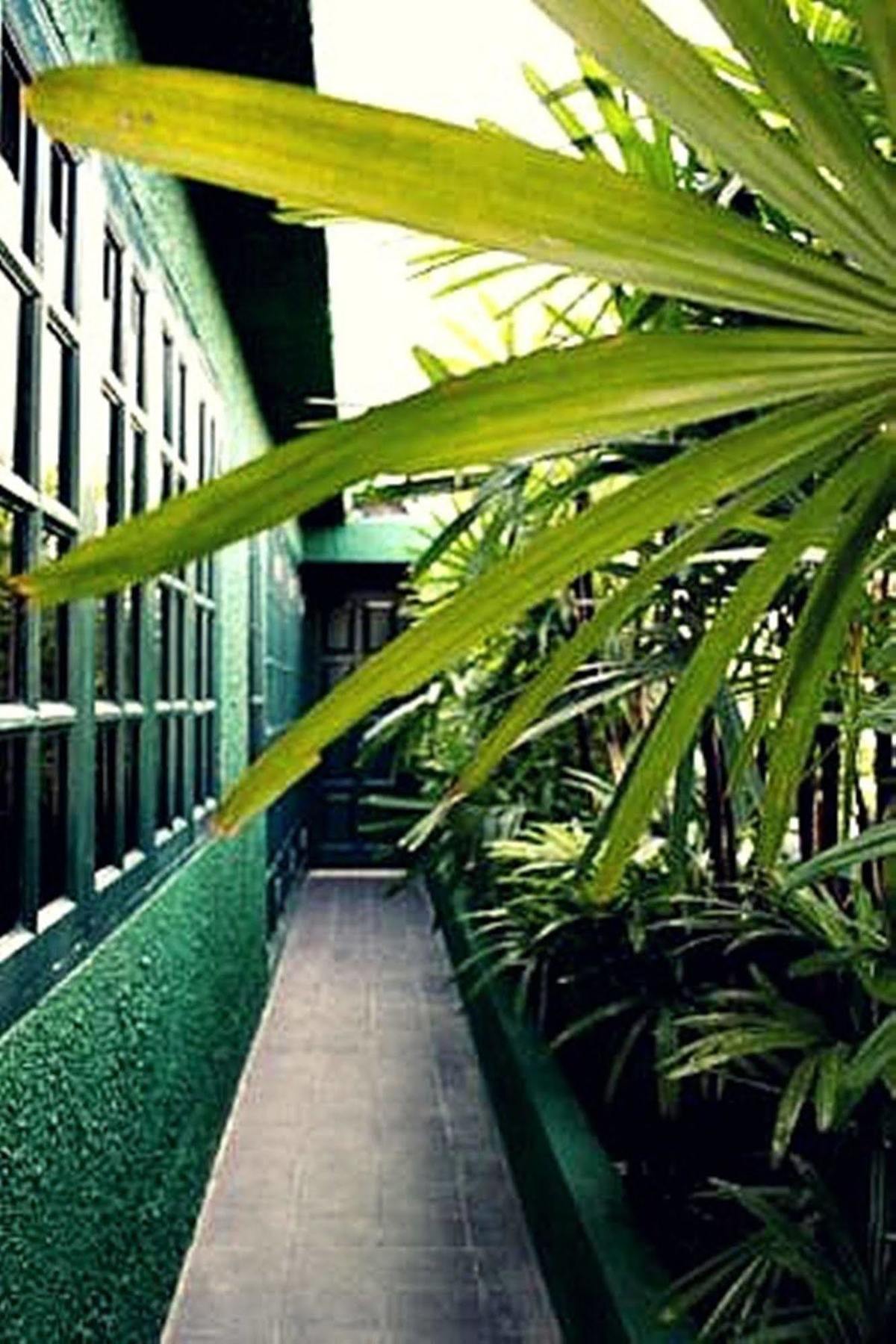 Rainforest Bed & Breakfast Kuala Lumpur Exterior photo